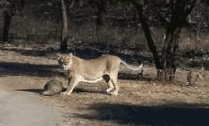 代购骗局朋友圈,朋友圈代购真实案例