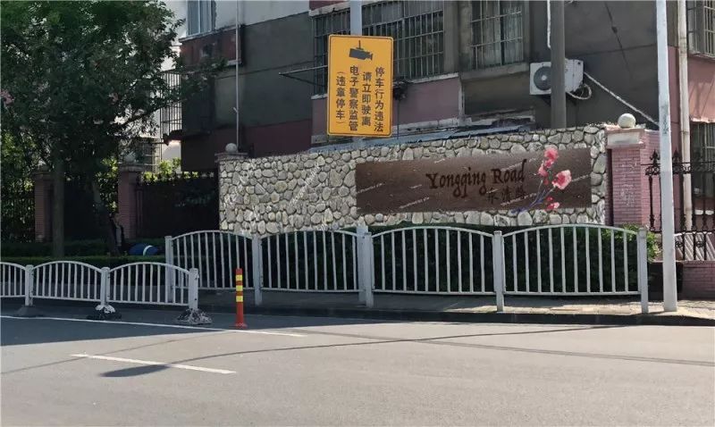 宝山浪漫樱花路图片,宝山樱花路