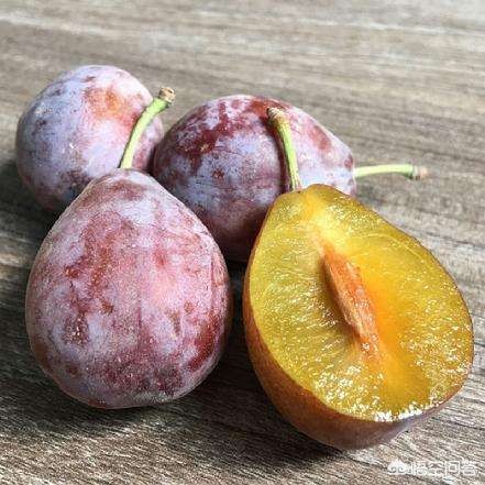 11天的新生儿4天没拉便便怎么回事,新生儿11天大两天没大便