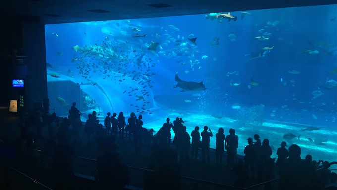 海岛购物两不误日本冲绳5天放纵2016/5/26~2016/5/30