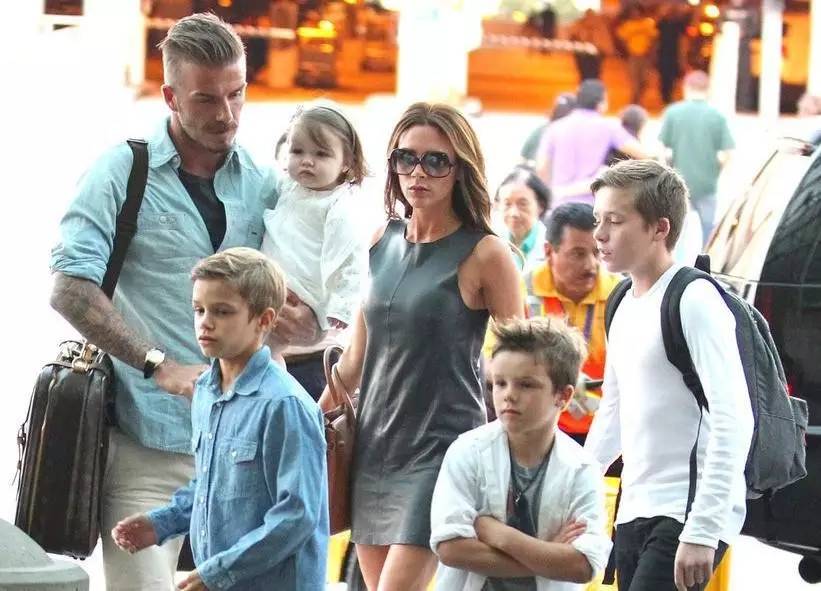 世界之最小公举盘点|波妹夜话