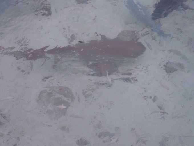 马尔代夫自由行七日游人均两万,马尔代夫一个人3天旅游费用