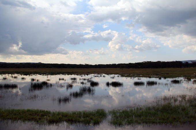 12天肯尼亚动物大迁徙自驾之旅,肯尼亚动物旅行