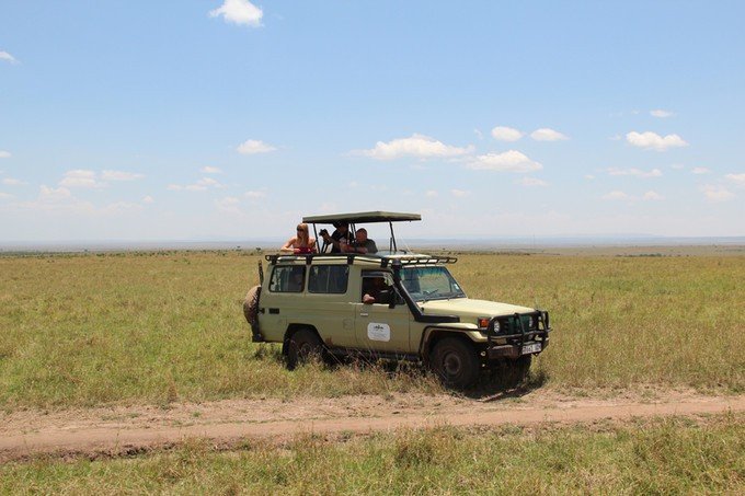 12天肯尼亚动物大迁徙自驾之旅,肯尼亚动物旅行