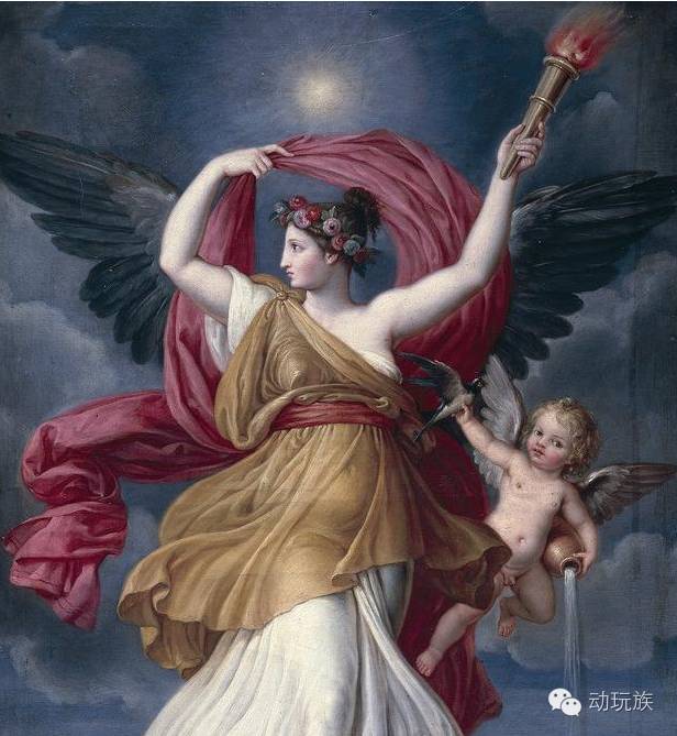 精灵宝可梦图鉴第55期,宝可梦图鉴807只精灵