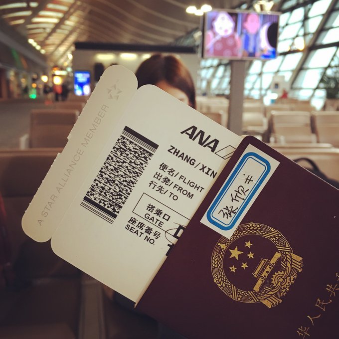 16年,关西(大阪,奈良,京都,宇治)樱花,甲子园