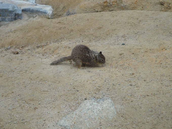 美国1号公路旅游视频,美国1号公路旅游线路