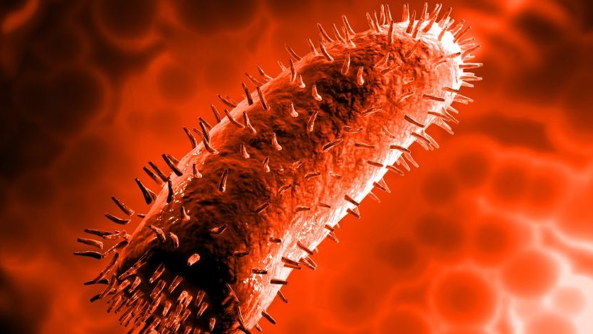 科普童话怎么编,科普童话怎样写