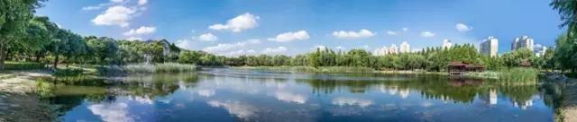 上海土豪排名第一,上海顶级土豪