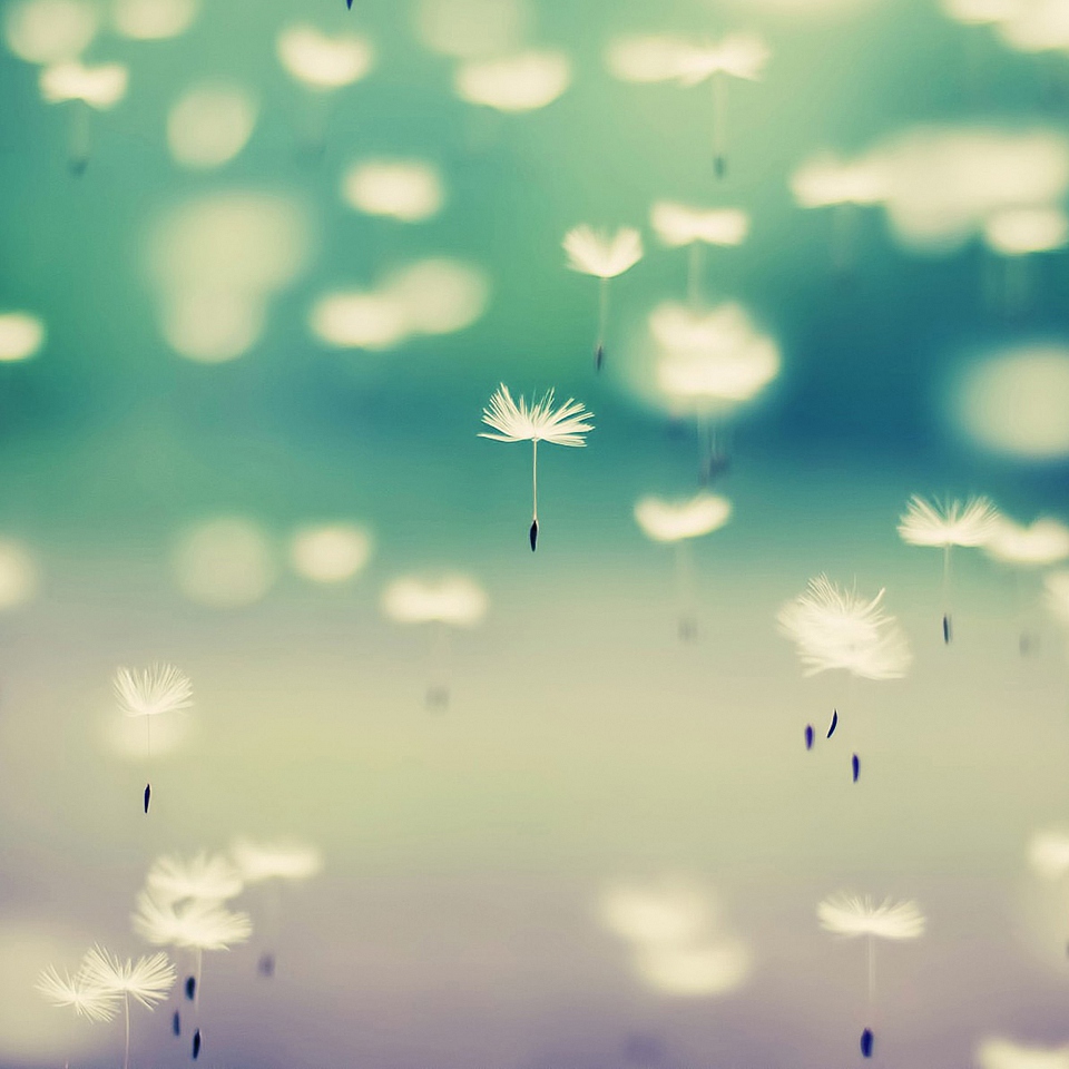 一天一个小故事,每天一个睡前小故事