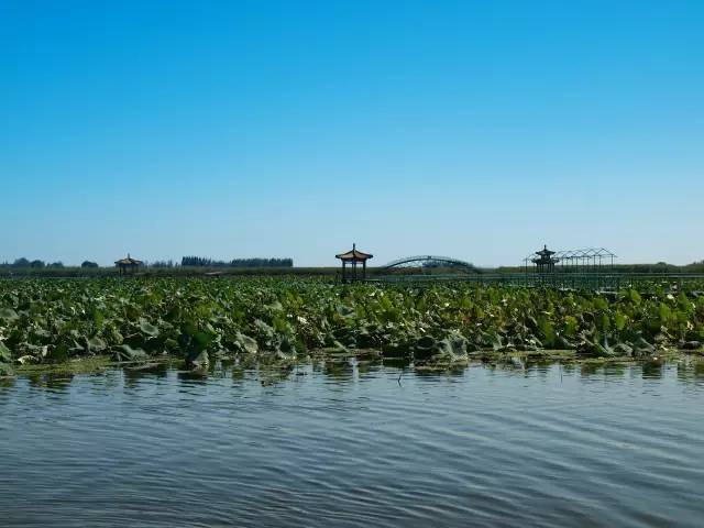 天津周边比较小众的旅游景点,天津周边游小众景点推荐