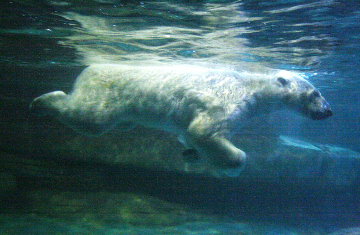 无锡夏天避暑,大热天无锡哪里避暑