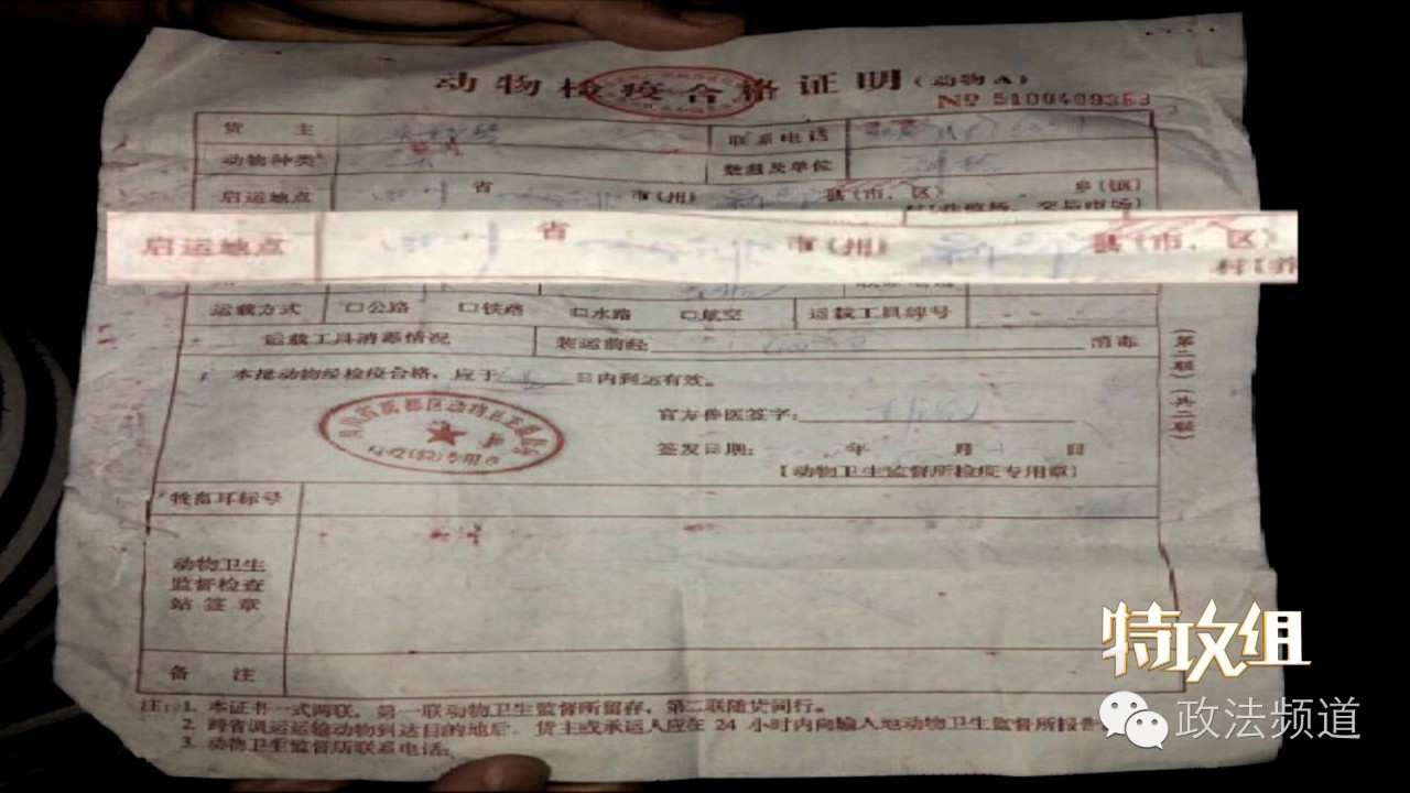 把狗买回家结果有病,购买宠物狗几天就死亡