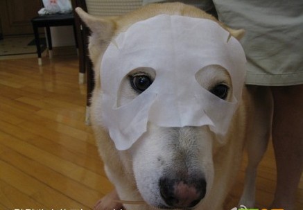 台湾产的面膜哪个牌子好,台湾面膜有哪些品牌