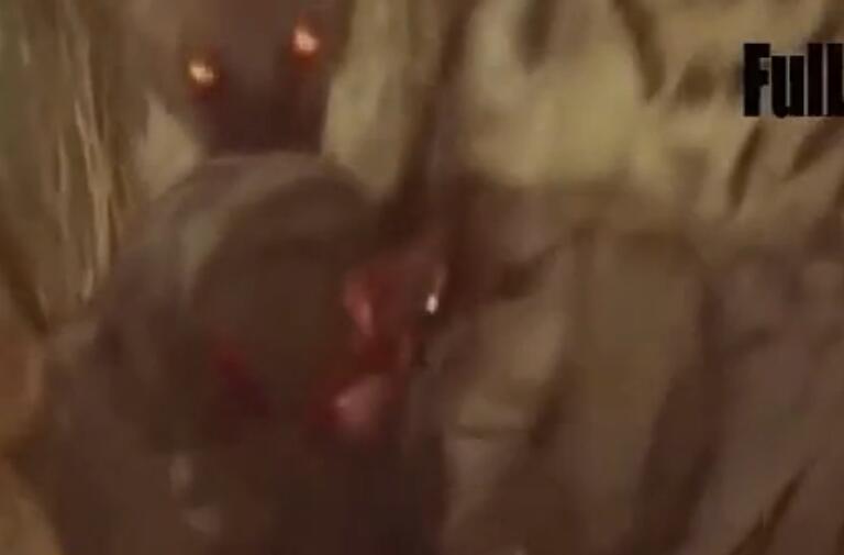 鬣狗吃小象的真实视频,鬣狗吃掉小象