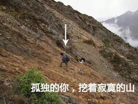 高考冷门却不愁就业的专业,高考选不上专业只能被选冷门专业