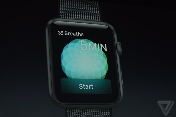 乐8苹果助手怎么没有了,乐8苹果助手怎么下载不了