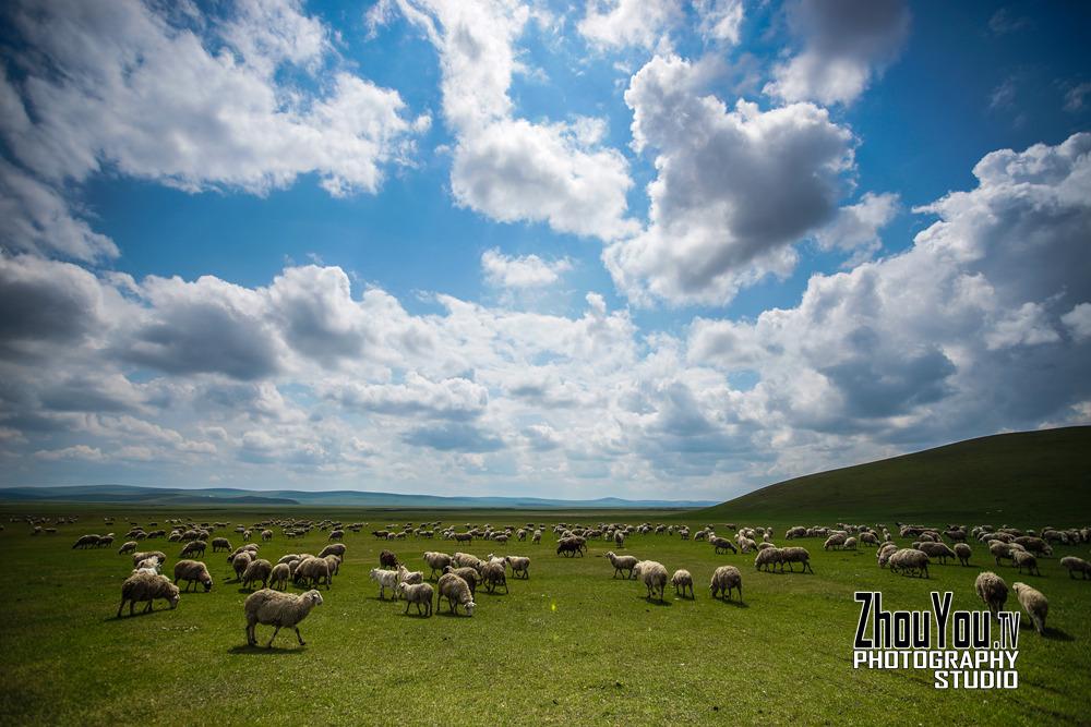 内蒙古呼伦贝尔俄罗斯民族乡,呼伦贝尔室韦俄罗斯民族乡