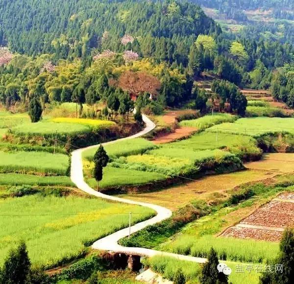 盐亭的现状,盐亭现在的状况