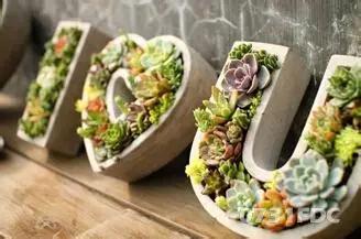 武汉民族特色体验馆,武汉最好玩的馆推荐儿童