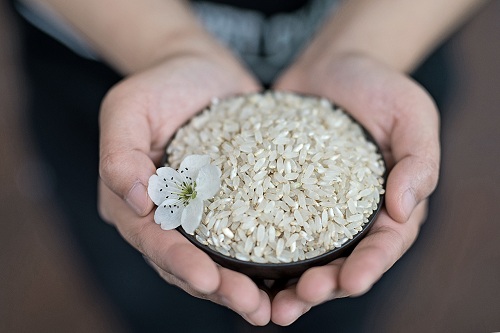 脚气病患者的福音,脚气病日本人