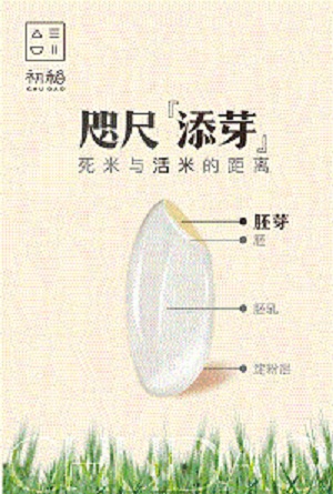 脚气病患者的福音,脚气病日本人