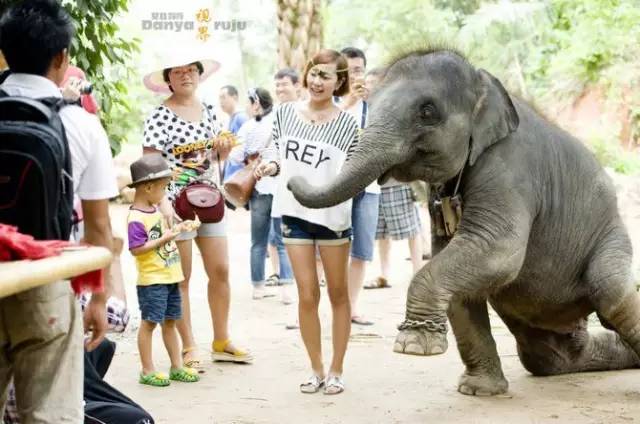 这个20年前无人知晓的小岛，现在竟然成为穷尽想象的魅惑之地！