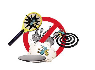 夏季爆款驱蚊神器,天然防蚊3妙招简单又有效