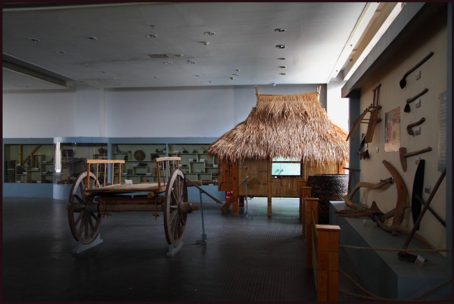 高洪波国足,国足本土教练高洪波