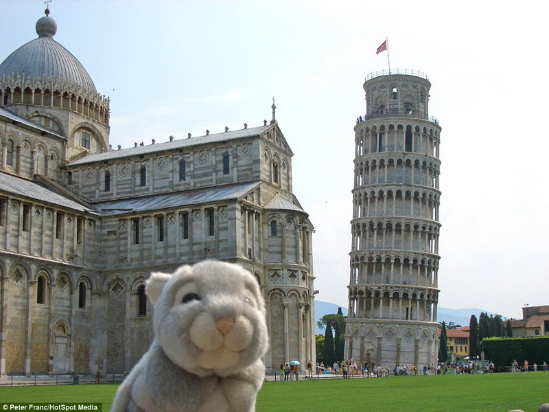 男子携带玩偶兔旅行20多国你想携带什么？