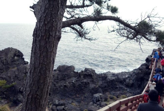 济州岛租车价格一览表,中国人如何在济州岛租车