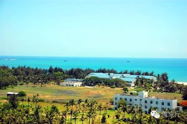 海南的海岛旅游南湾猴岛,推荐一个好地方南湾猴岛