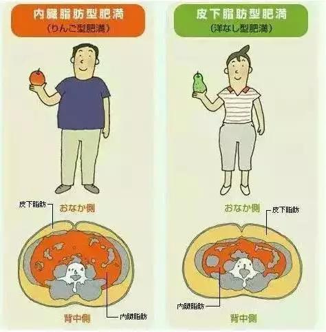 减肥不锻炼光靠饮食会瘦吗,坚持减肥但是就是不瘦