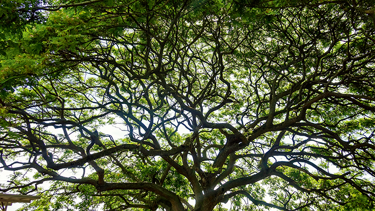 24-70mmf2.8镜头好吗,fe24-70mmf2.8gm镜头