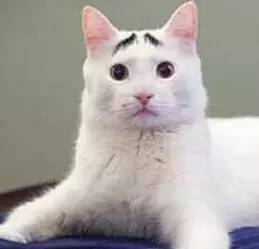 苏州客运站最新消息今天,苏州客运站最新通知