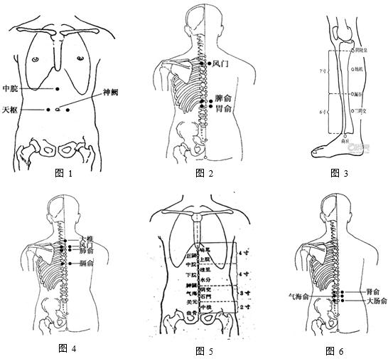 西苑医院膏药贴,脾胃病常用穴位敷贴