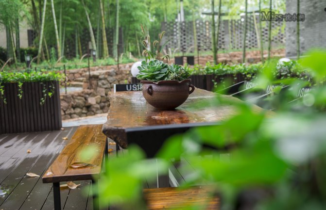 在这座神山中，我们每个人都是武林高手