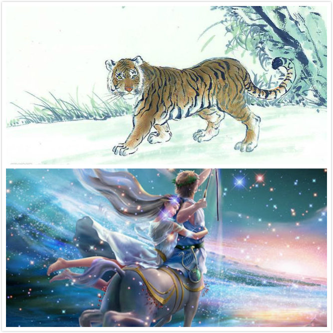 十二生肖与星座搭配谁最聪明,十二生肖与星座配对表图片大全