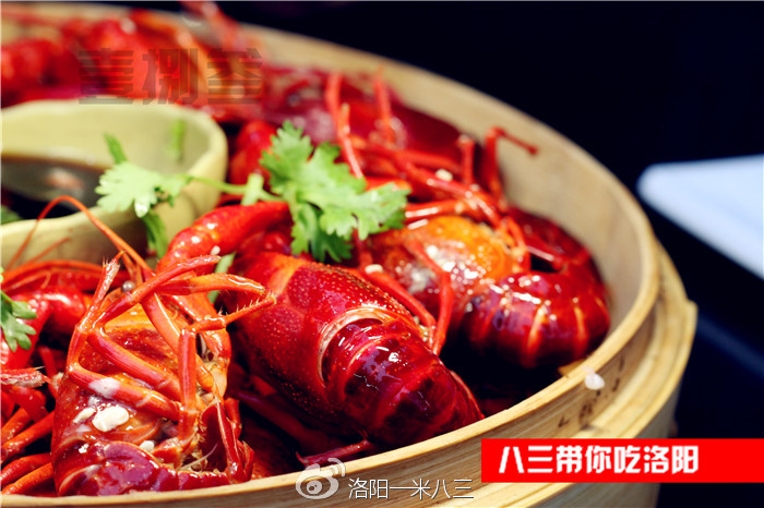 八三带你吃洛阳卖海鲜的处女座老板