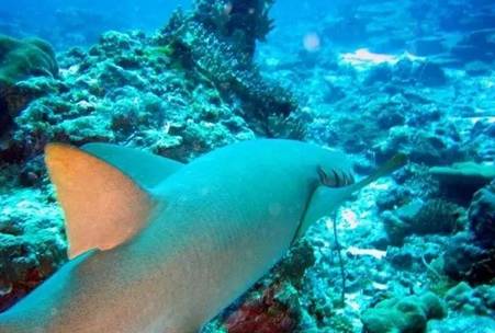 虽然你穷但是什么都懂,虽然你穷但是我爱你