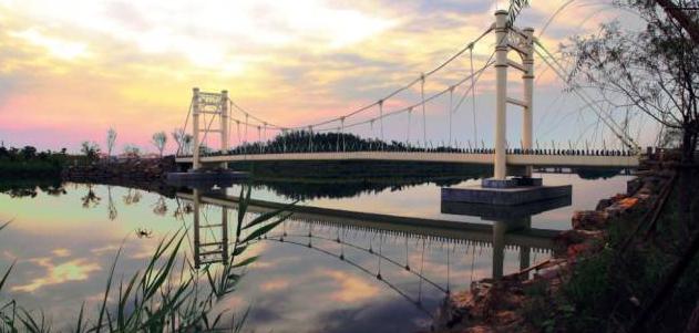 天津最迷人的樱花雨，愿你在花中起舞！