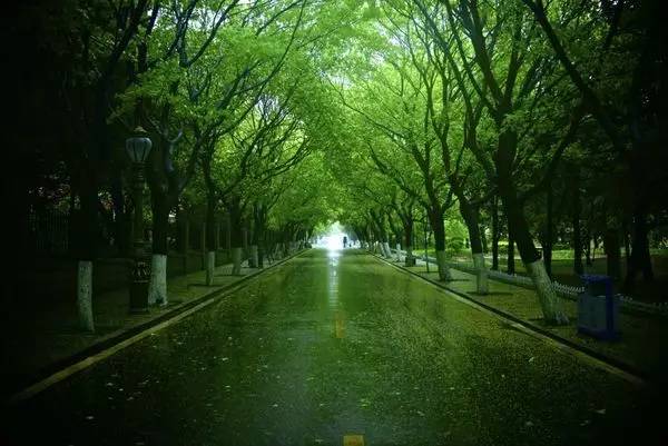 阴雨天青岛适合去的地方,阴雨天青岛旅游攻略三天两夜