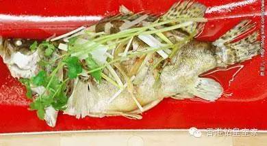 清蒸鱼哪种鱼好吃又营养,清蒸比较好吃营养少刺的鱼