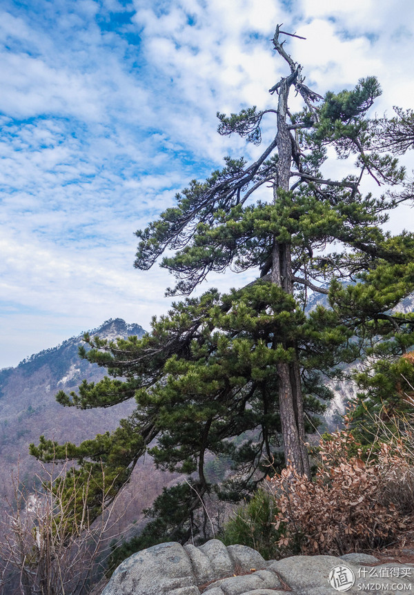 icebreaker滑雪服,icebreaker黑色保暖衣