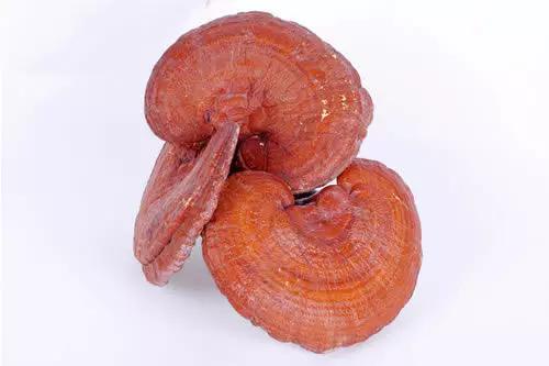 头晕脑胀想睡觉吃什么药,头晕眩晕吃灵芝孢子粉可以吗