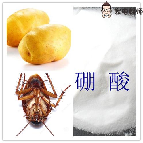 教你消灭蟑螂100种方法,消灭蟑螂的各种方法和妙招