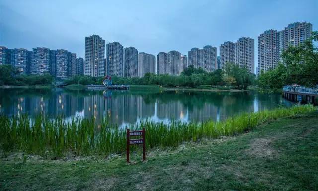 2016拍地王的原因,数据说话涨停板