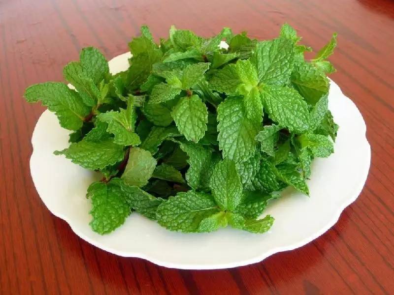 夏季感冒怎么办,预防夏季感冒