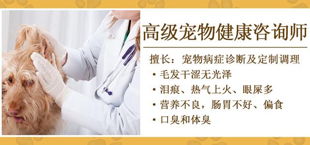 龙猫难养吗,龙猫为什么不适合养