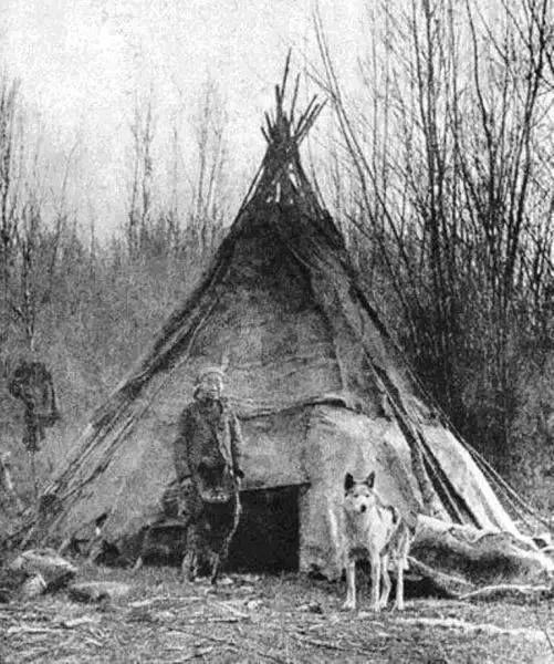 尊重狗，就让它像狗一样的生活！